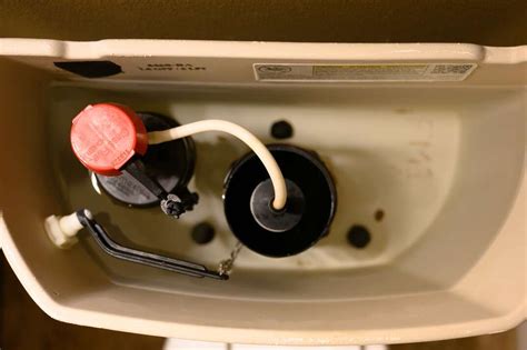 How to Flush a Toilet Without Running Water: A Journey into the Absurd and Practical