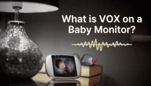 What is VOX on Baby Monitor: A Symphony of Silence and Sound